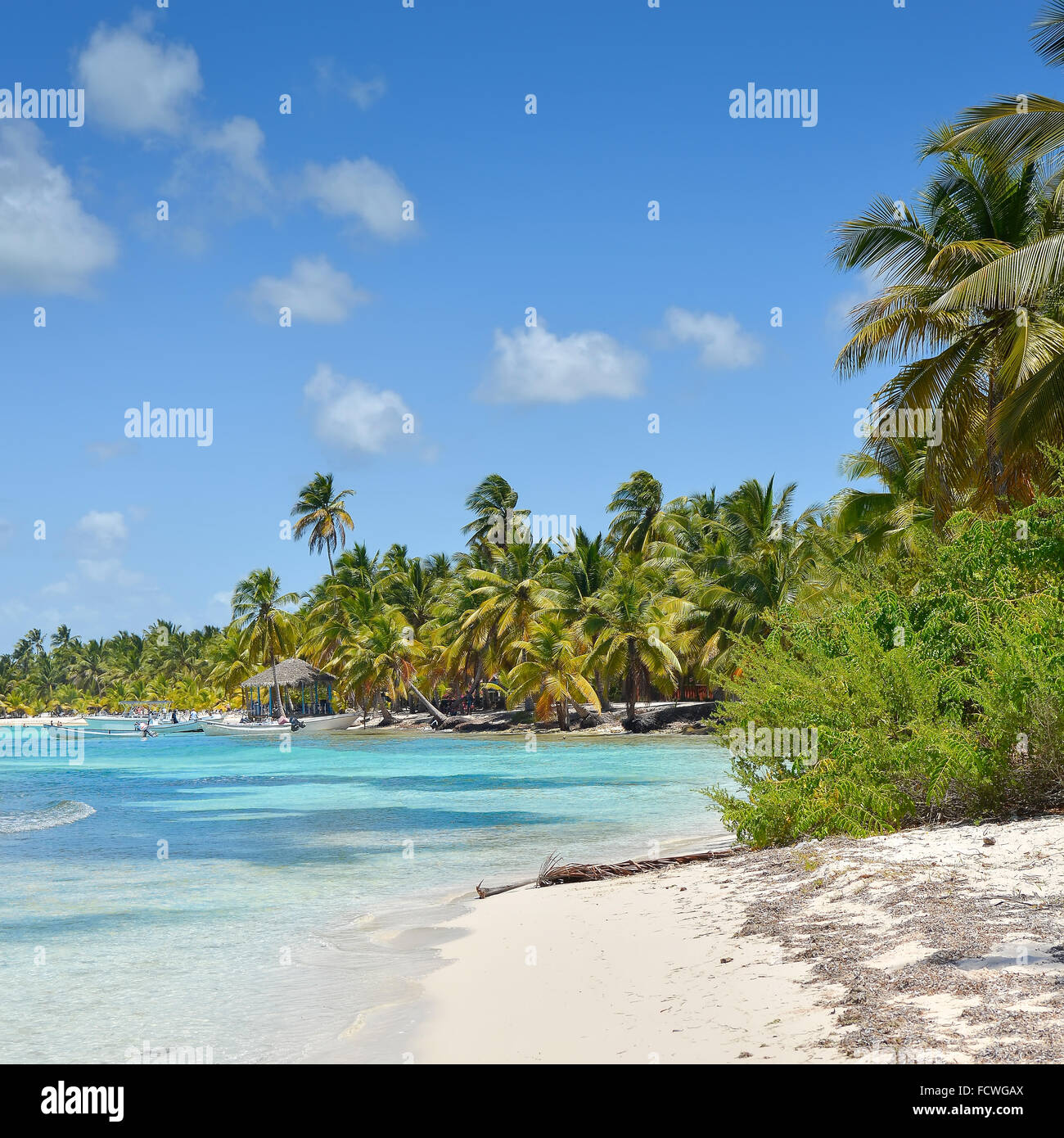 Palm trees beach crystal hi-res stock photography and images - Alamy