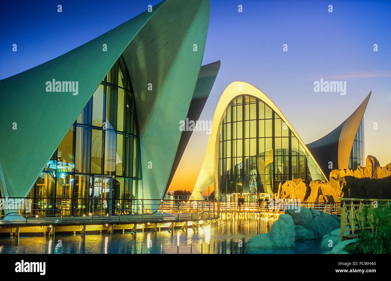 S calatrava sale