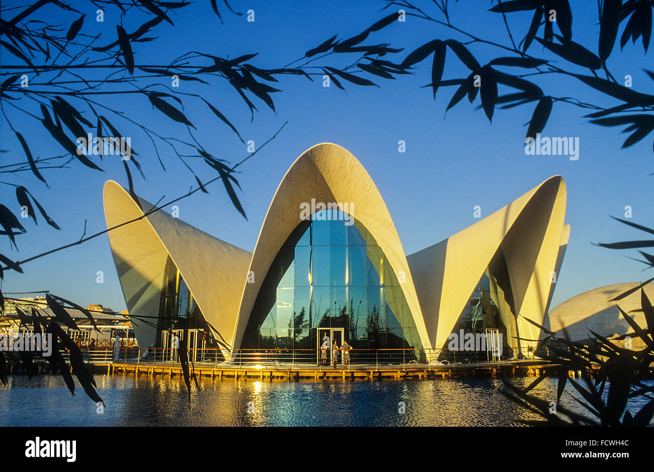 Oceanografic by Félix Candela, in City of Arts and Sciences by S. Calatrava. Valencia. Spain Stock Photo