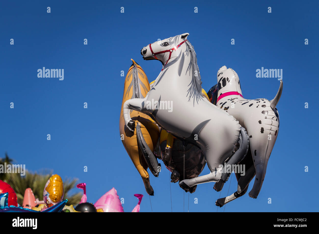 Helium filled balloons in shapes of horses and minions float above the