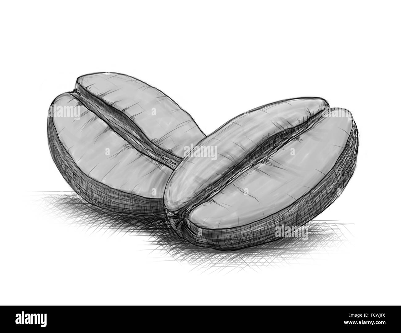 hand-drawn sketch of coffee beans on a white background Stock Photo