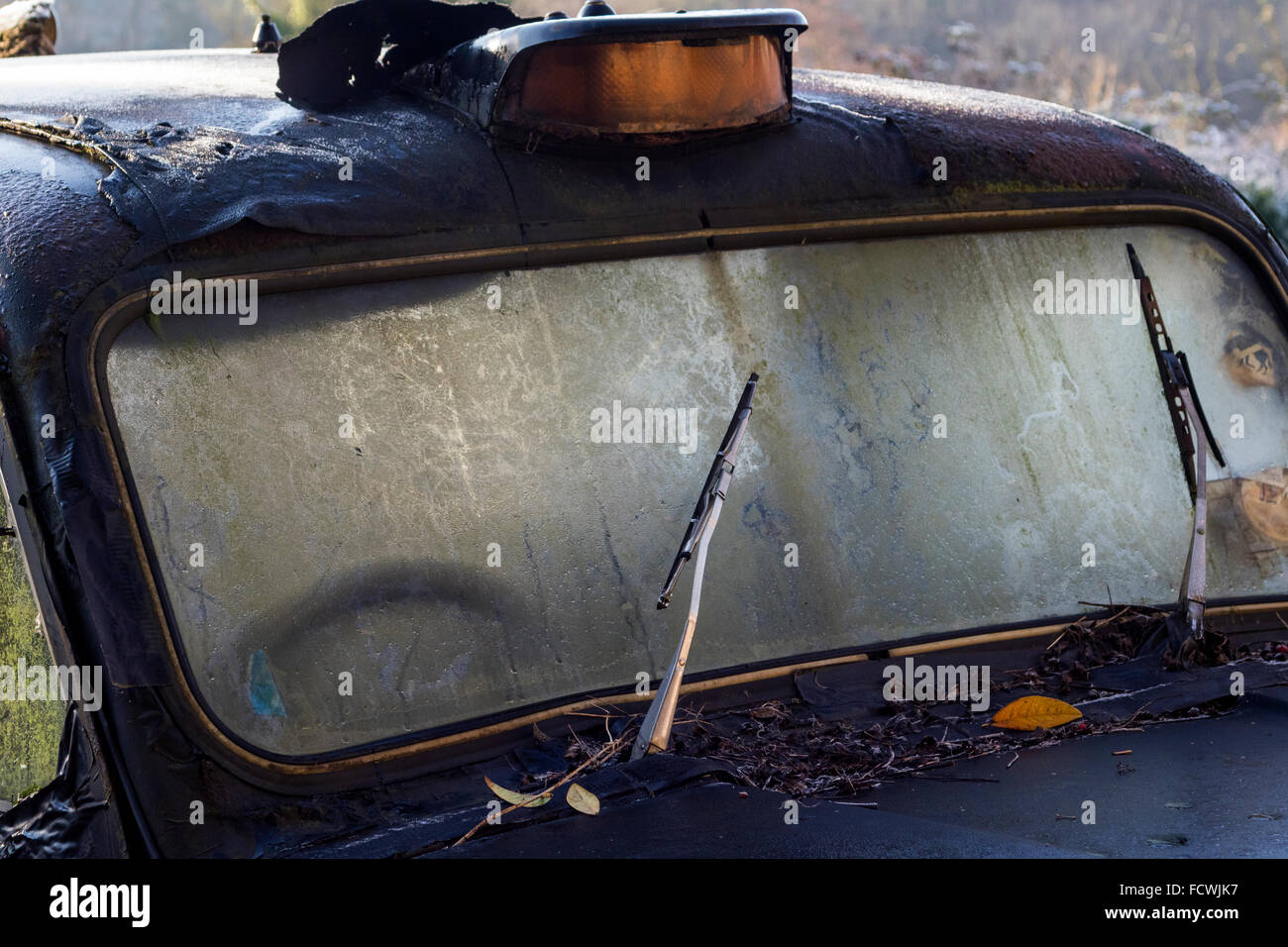 Black Cab to Nowhere: Abandoned Rusting and Dilapidated London Cab. Stock Photo