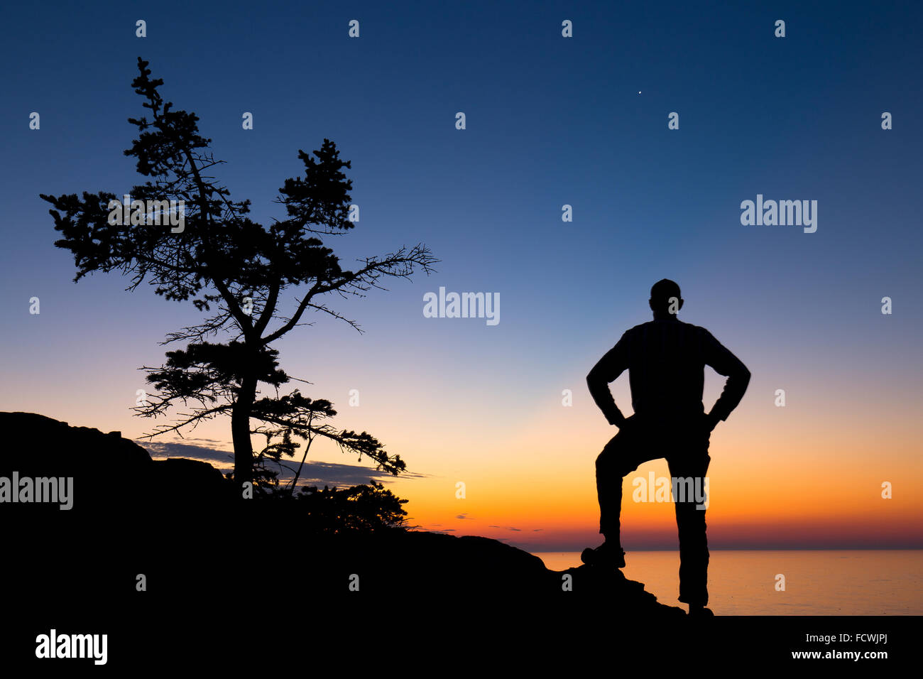 Silhouette of a tree and a hiker on the coast of Acadia National Park, Mount Desert Island, Maine, New England, USA. Stock Photo