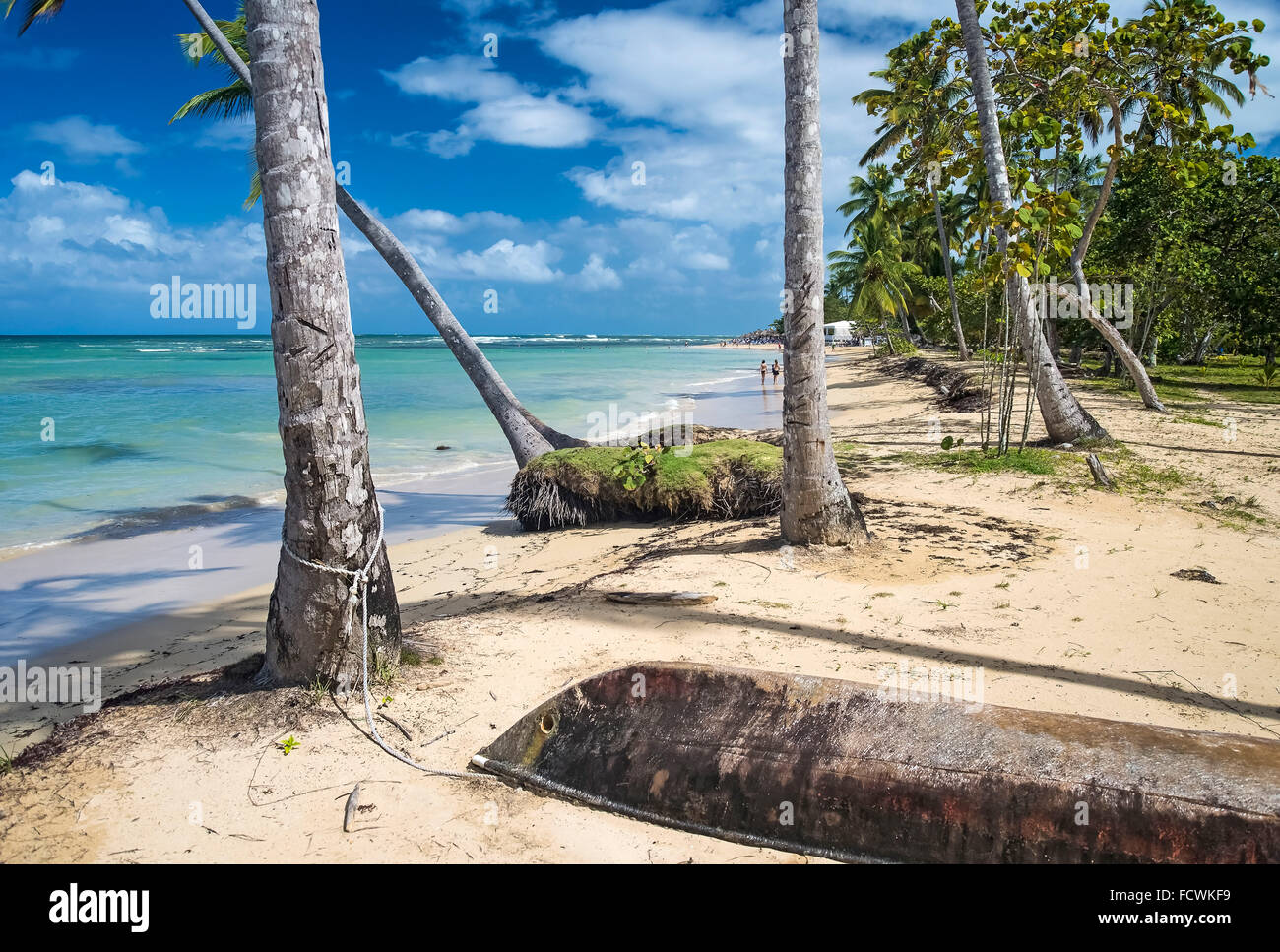 Tropical Beach with Palm Trees in Dominican Republic Stock Photo