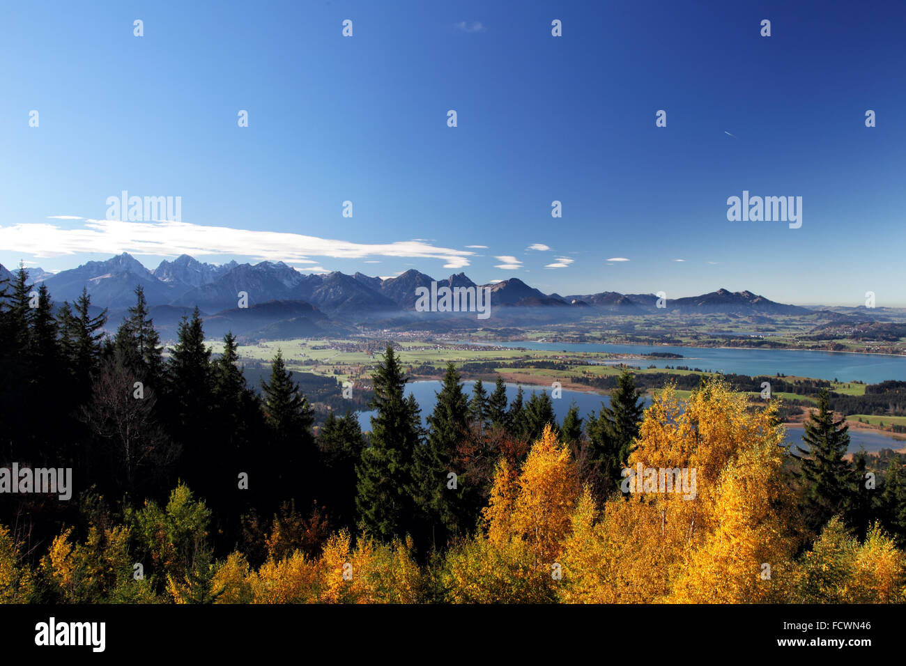 View on the Forggensee and the Alps from the Buchenbergalm in Allgäu, Bavaria, Germany. Stock Photo