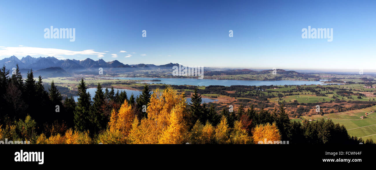 View on the Forggensee and the Alps from the Buchenbergalm in Allgäu, Bavaria, Germany. Stock Photo