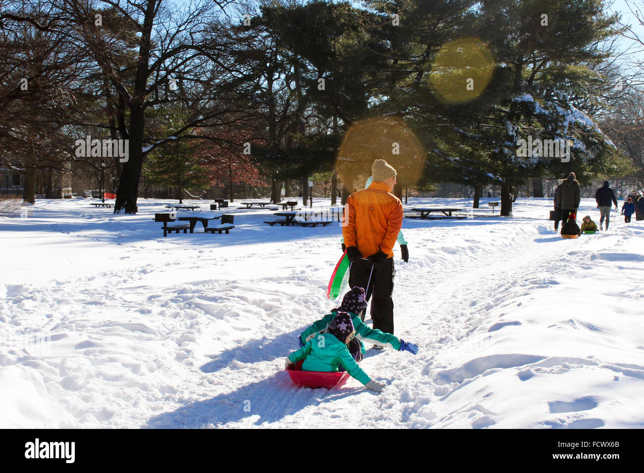 prospect park snow sled pulling man with children through trees Stock Photo
