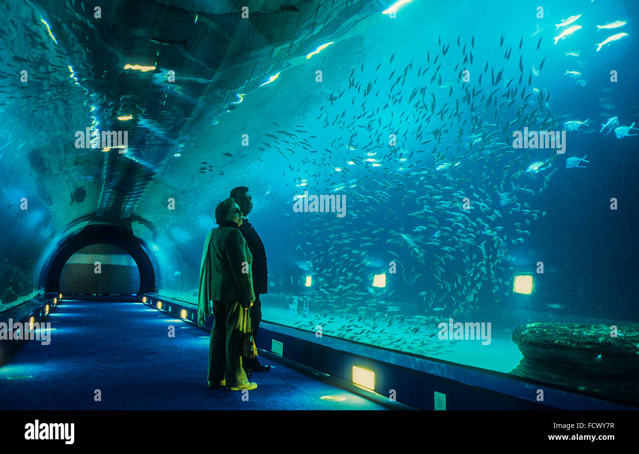Underwater tunnel of 38 meters in oceans area,Visitors enjoy marine