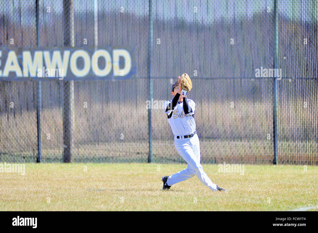 Right fielder making a running catch near the foul line during a high school baseball game. USA. Stock Photo