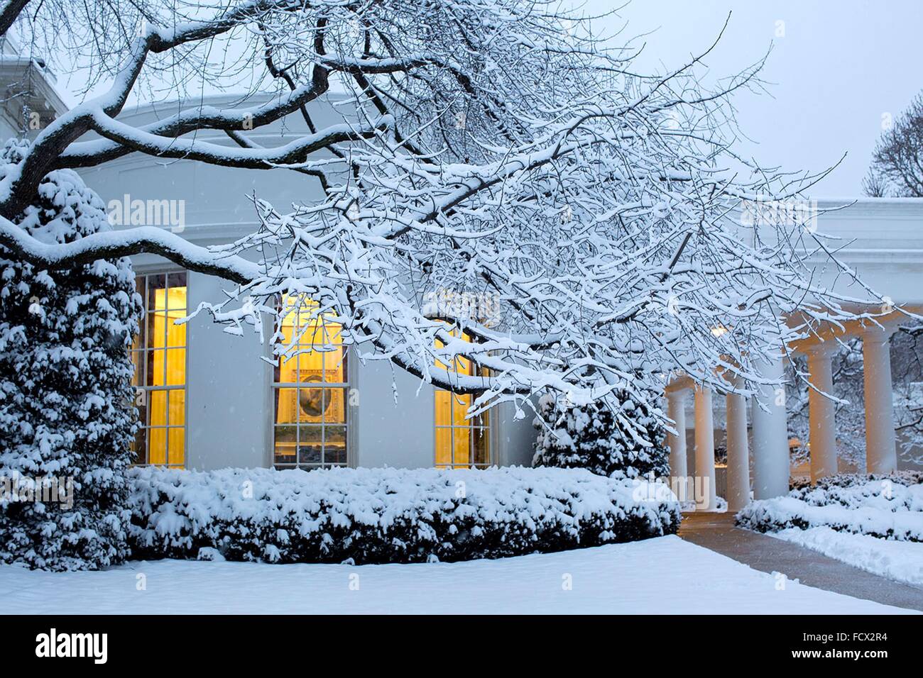 Oval office rose garden hi-res stock photography and images - Alamy