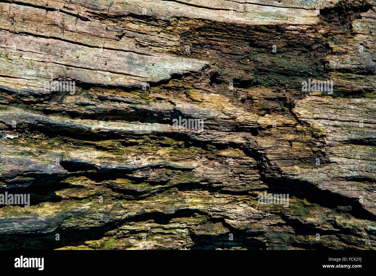 Close up wood texture hi-res stock photography and images - Alamy