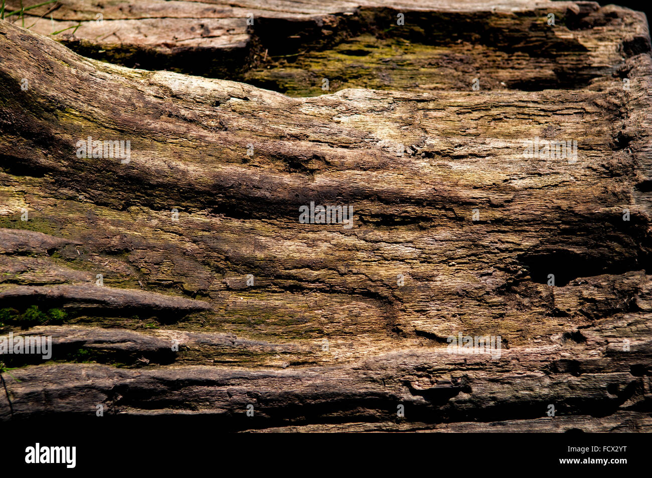 Close up wood texture for a background Stock Photo - Alamy