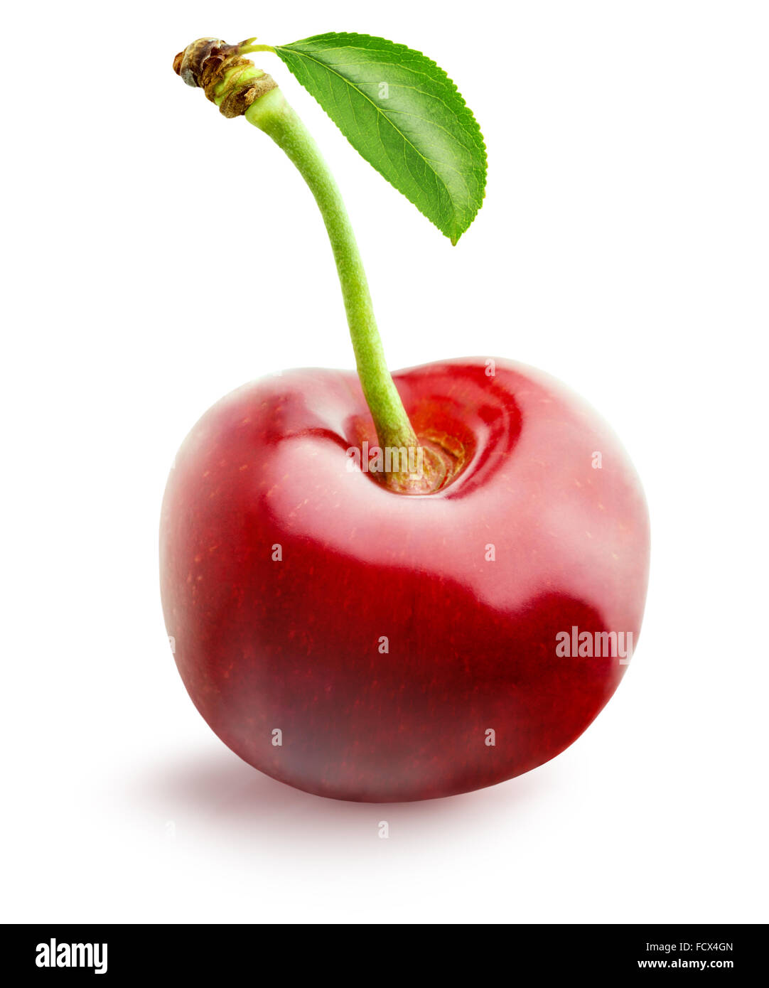 sweet cherry isolated on the white background. Stock Photo