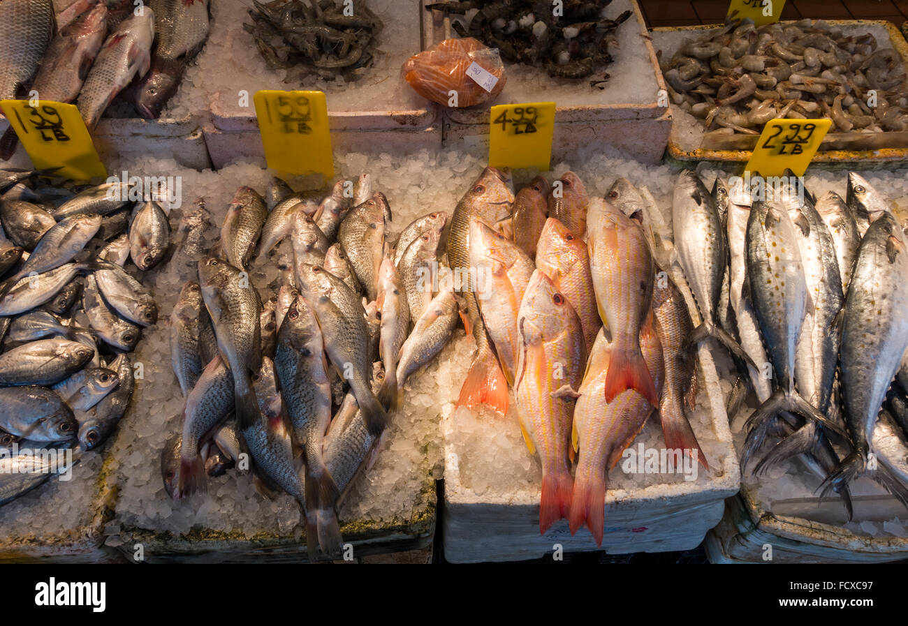 Fresh fish for sale on Mott Street in Chinatown New York City Stock Photo