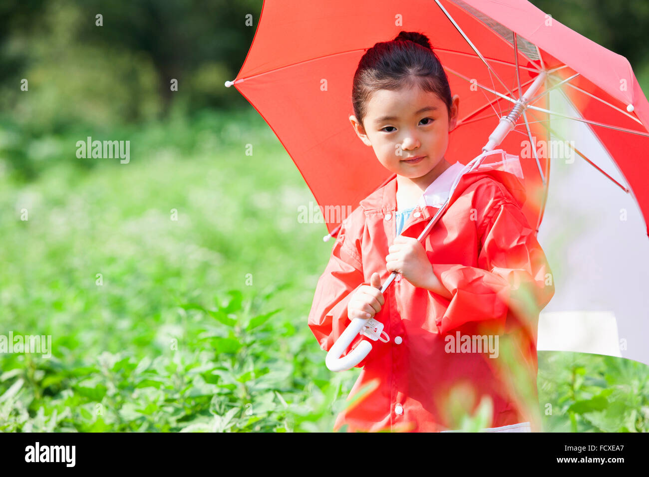 Girl in red rain coat under the red umbrella in the field Stock Photo