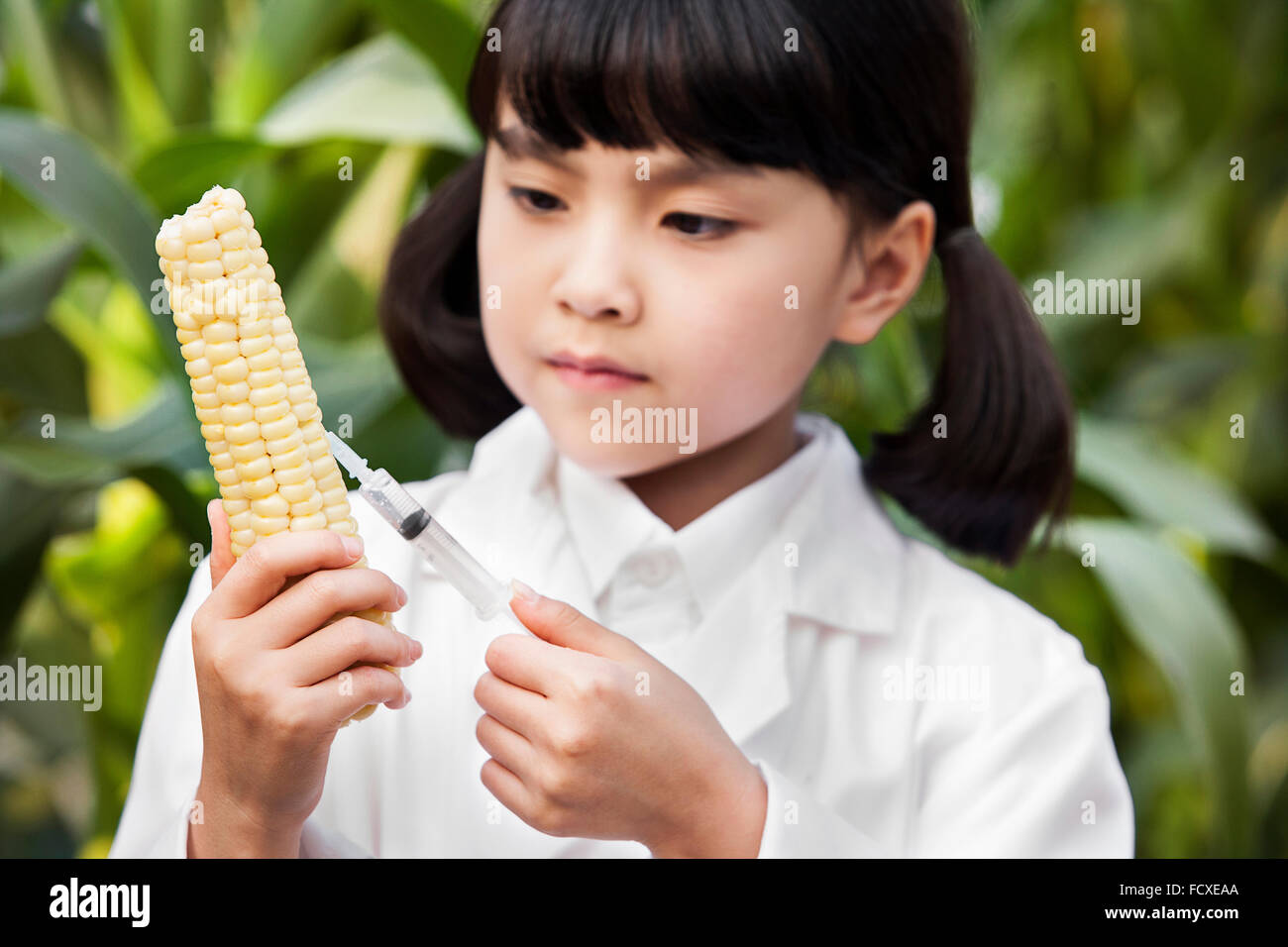 Girl in white gown holding a corn and a syringe and observing it seriously Stock Photo