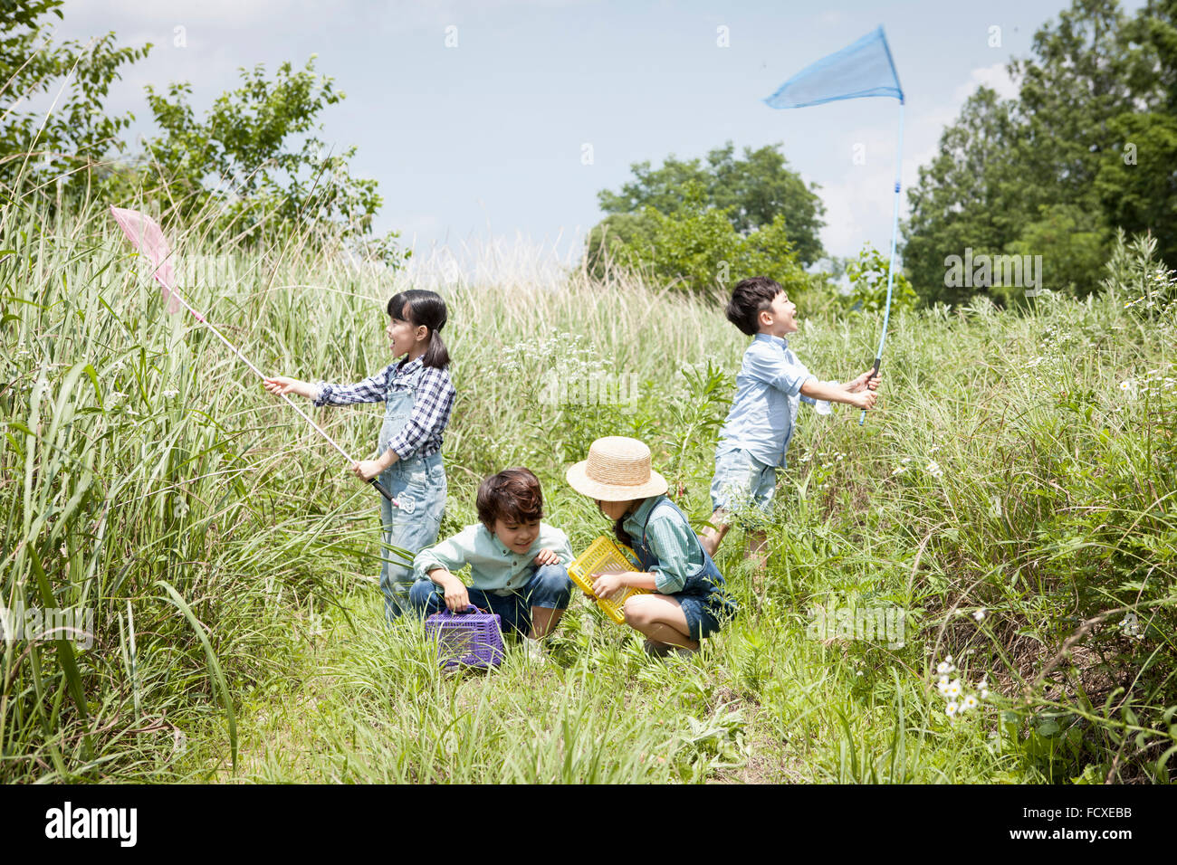 https://c8.alamy.com/comp/FCXEBB/four-kids-having-fun-at-the-grass-field-with-butterfly-nets-and-collecting-FCXEBB.jpg