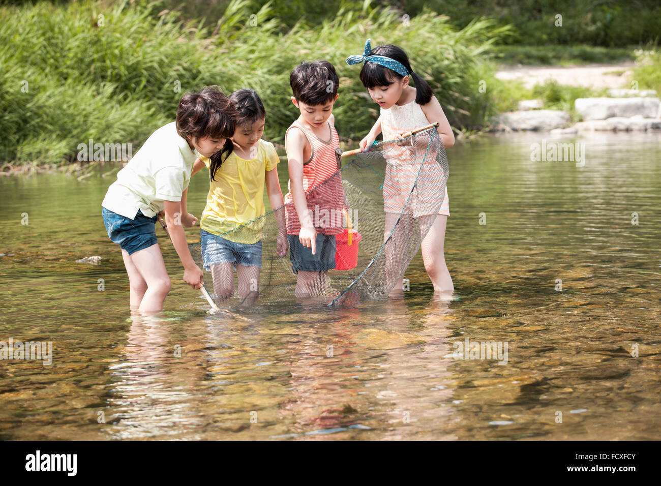Four kids having fun for summer vacation in the water of the stream holding a fishing net and a bucket Stock Photo