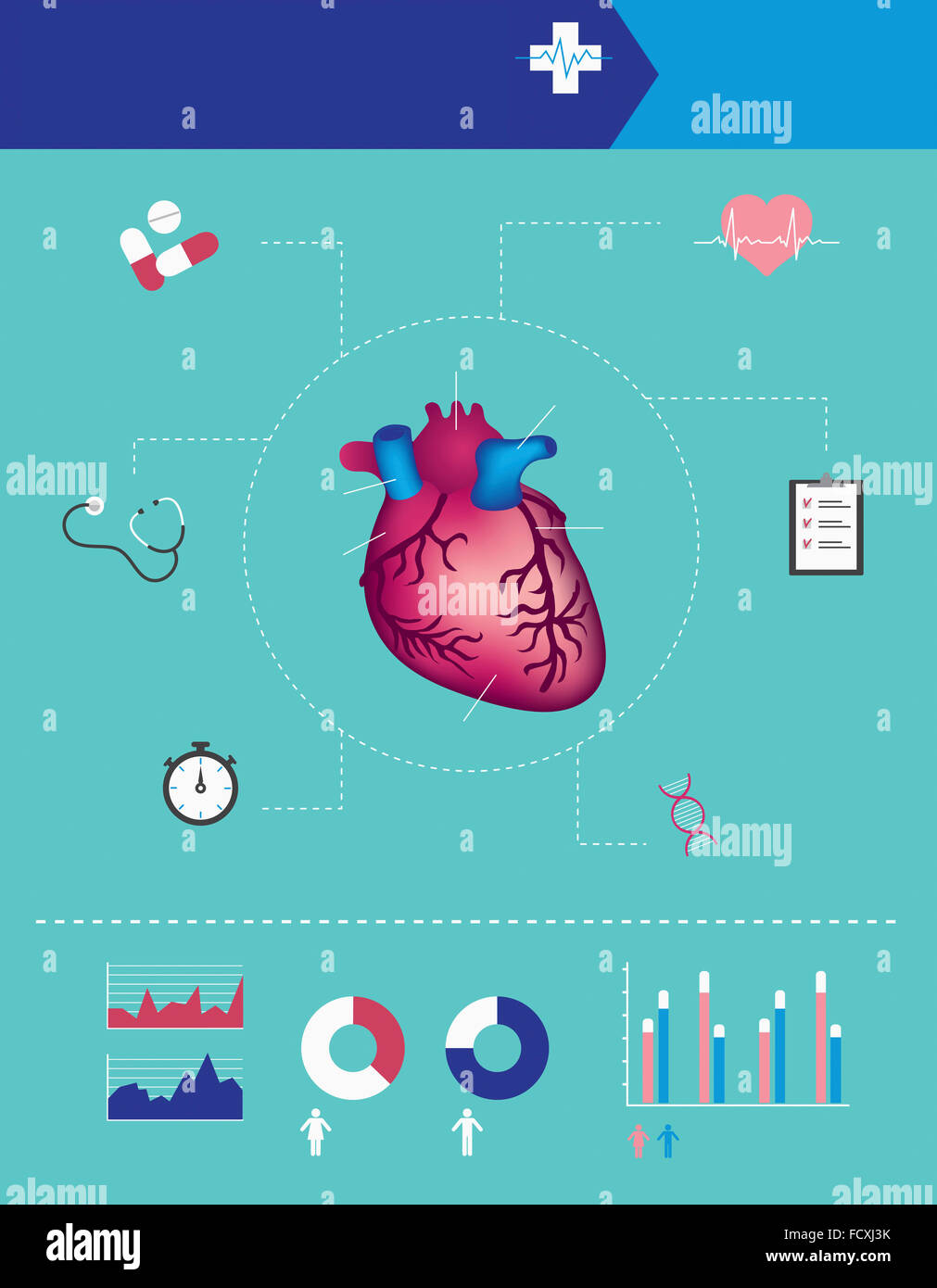 Infographic datum about heart and medicine Stock Photo Alamy