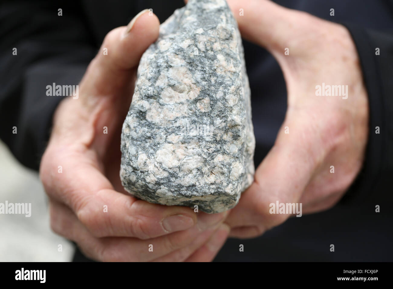 Norway, Olden, Briksdal Glacier. Holding a piece of Gneiss rock with large bits of Feldspar. Stock Photo