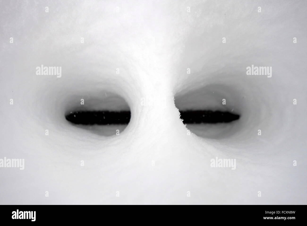 Eyes shaped by melting snow Stock Photo