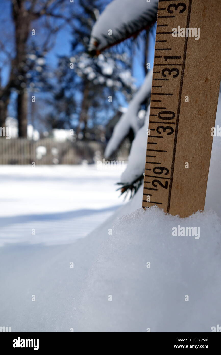 Ruler measuring over two feet of snow, post snowstorm Jonas 2016 in the