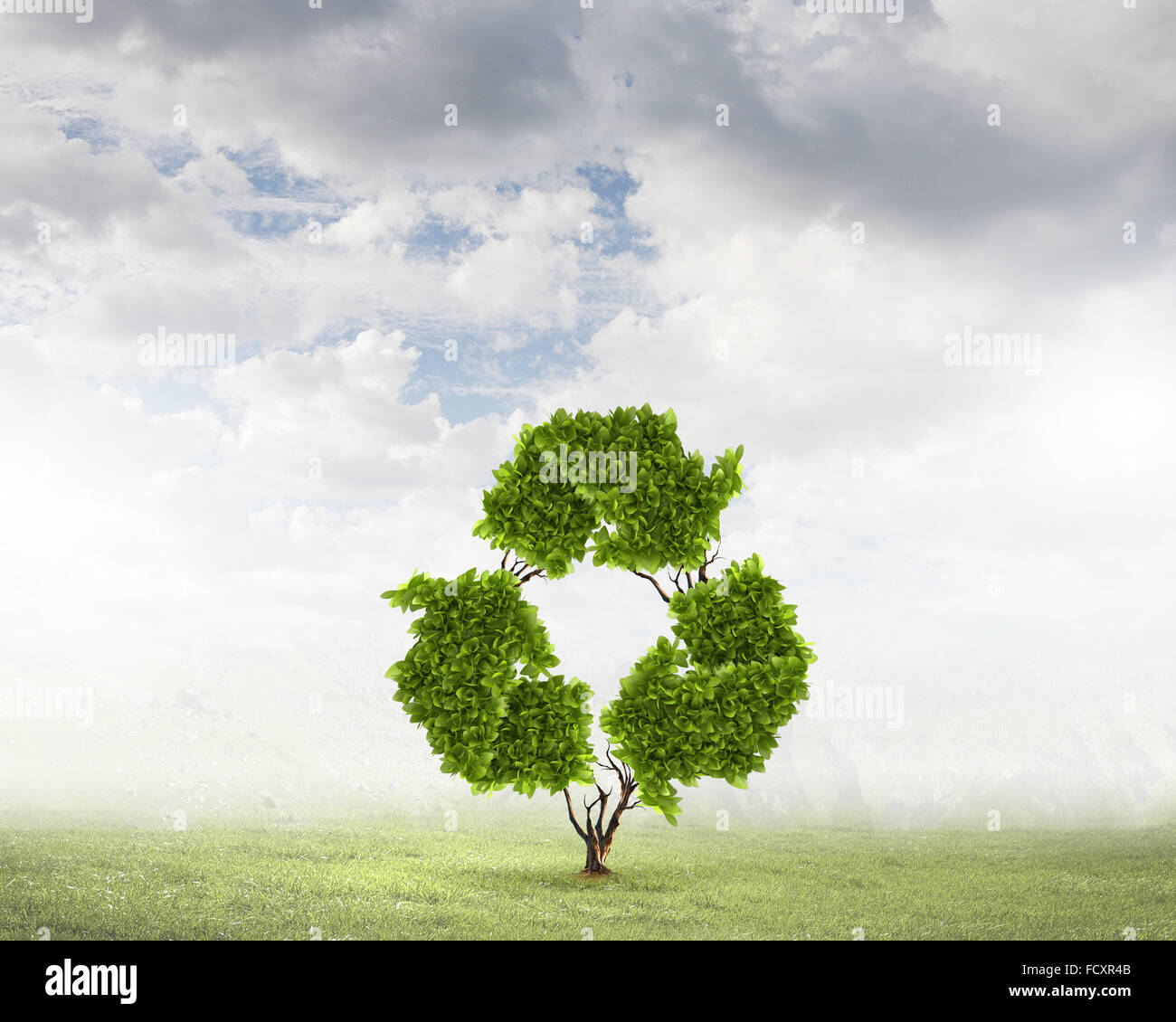 Conceptual image of green plant shaped like recycle symbol Stock Photo ...
