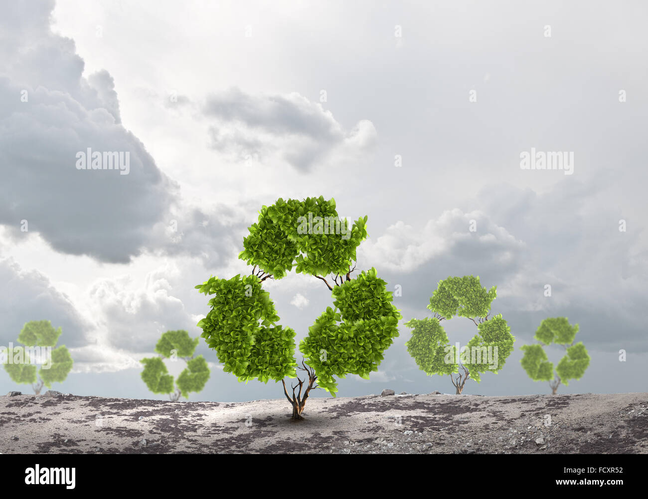 Conceptual image of green plant shaped like recycle symbol Stock Photo ...