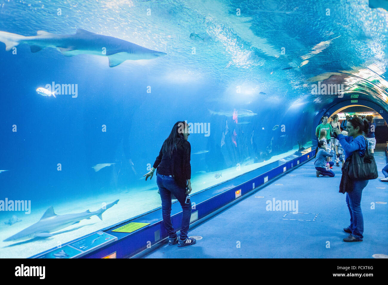 Underwater tunnel of 38 meters in oceans area,Visitors enjoy marine life,Oceanografic by Félix Candela,in City of Arts and Scien Stock Photo