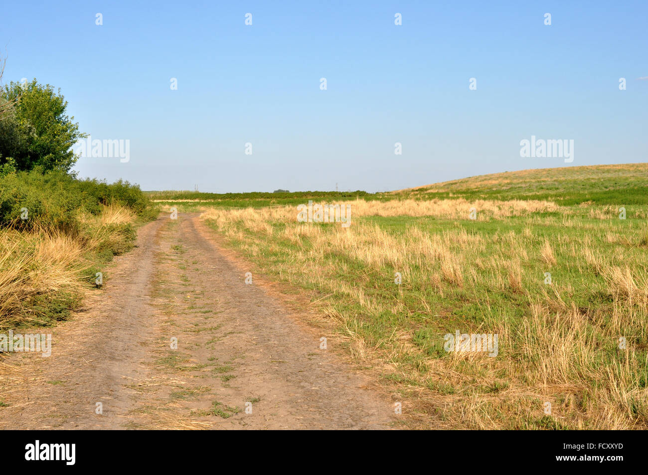 Summer field with burned grass and road in Russia Stock Photo