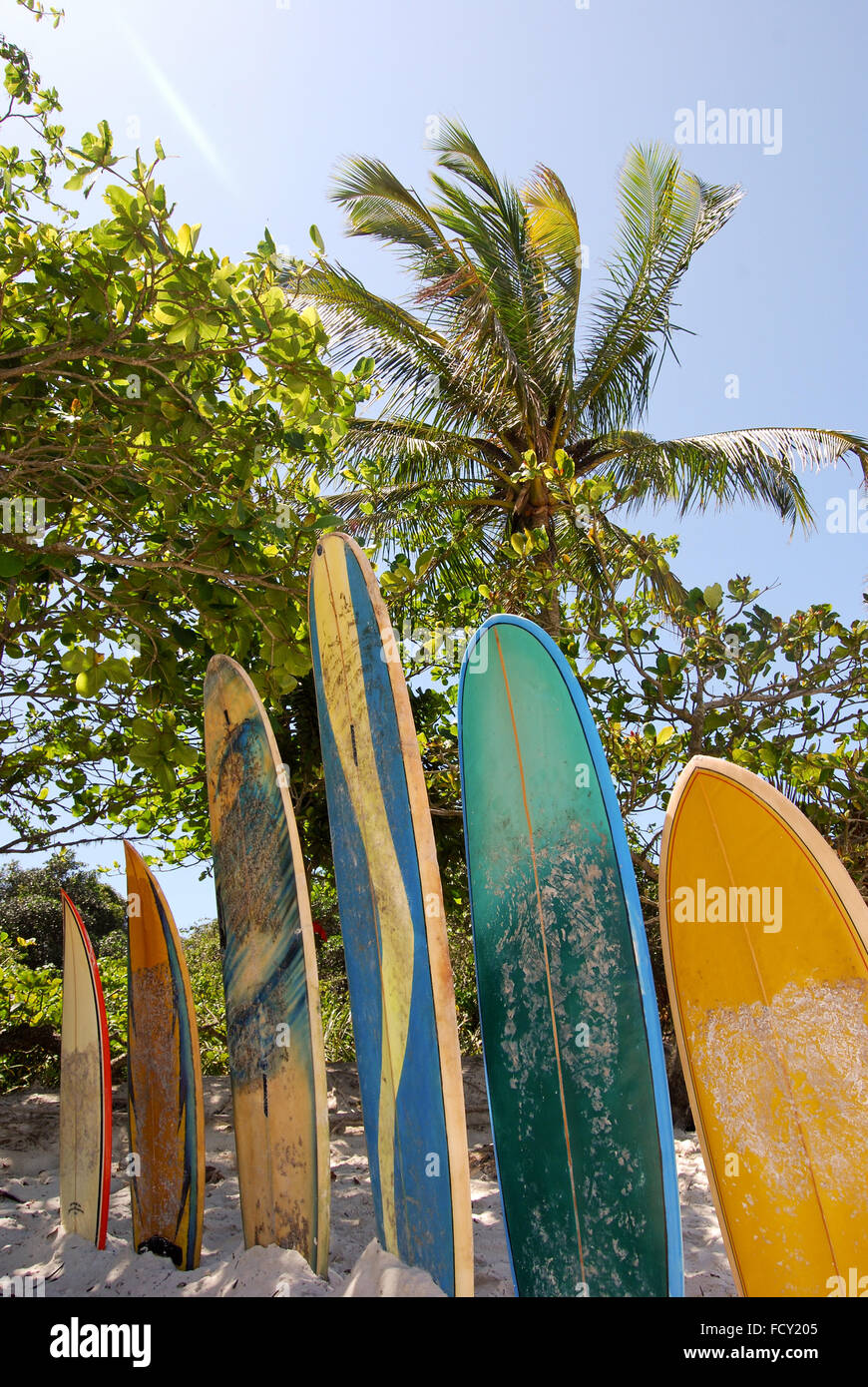 Ilha Grande Island: Surfboards at beach Praia Lopes Mendes, Rio de Janeiro state, Brazil, South America Stock Photo