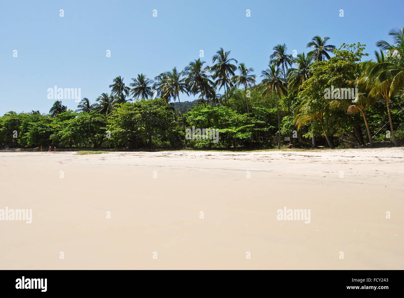 Ilha Grande Island: Beach Praia Lopes Mendes, Rio de Janeiro state, Brazil South America Stock Photo