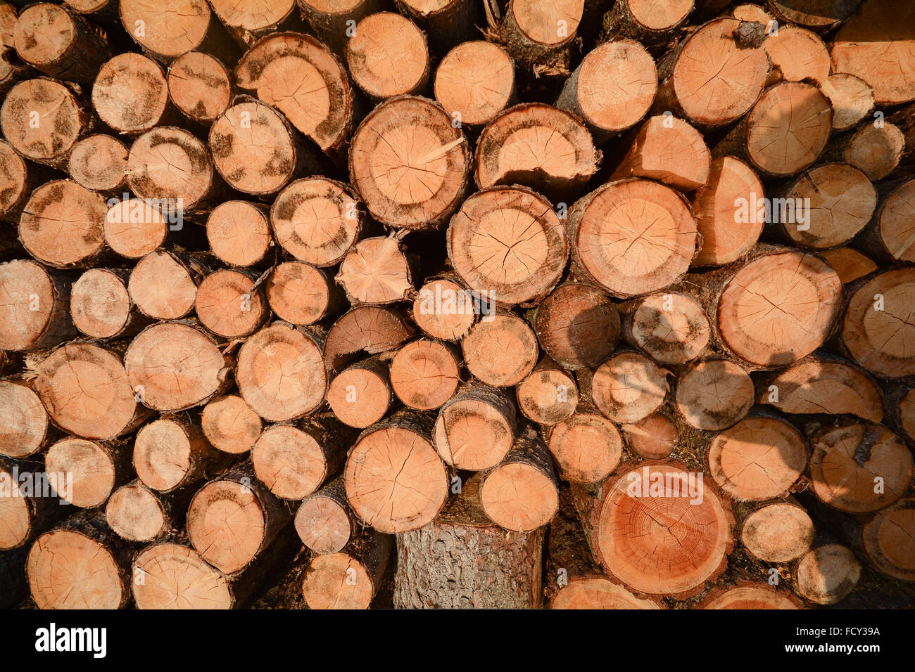 A stack of firewood in front of a barn, Alps Tyrol Austria Stock Photo