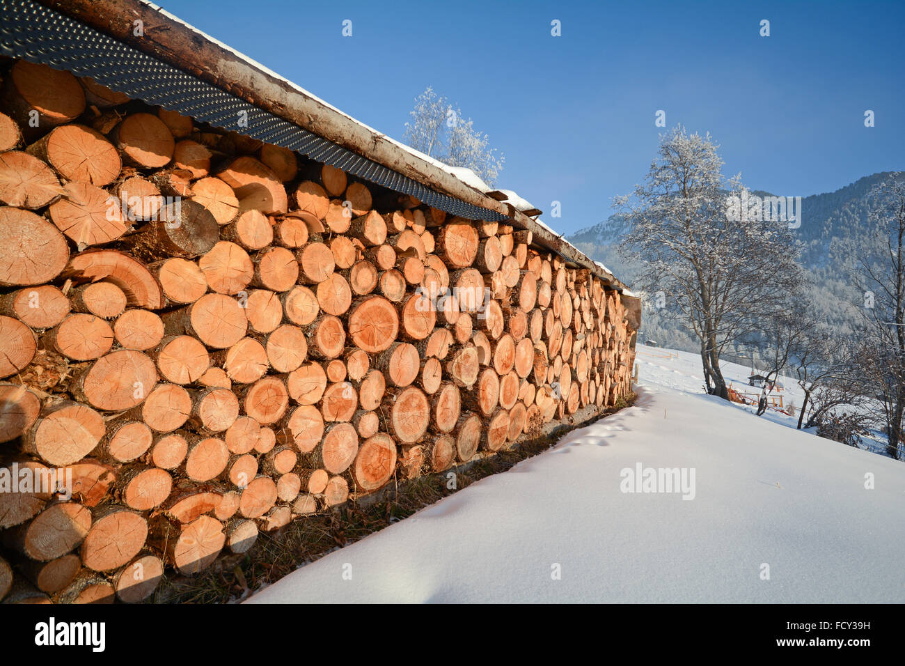 Winter landscape with firewood in front of an old barn, Pitztal Alps - Tyrol Austria Stock Photo