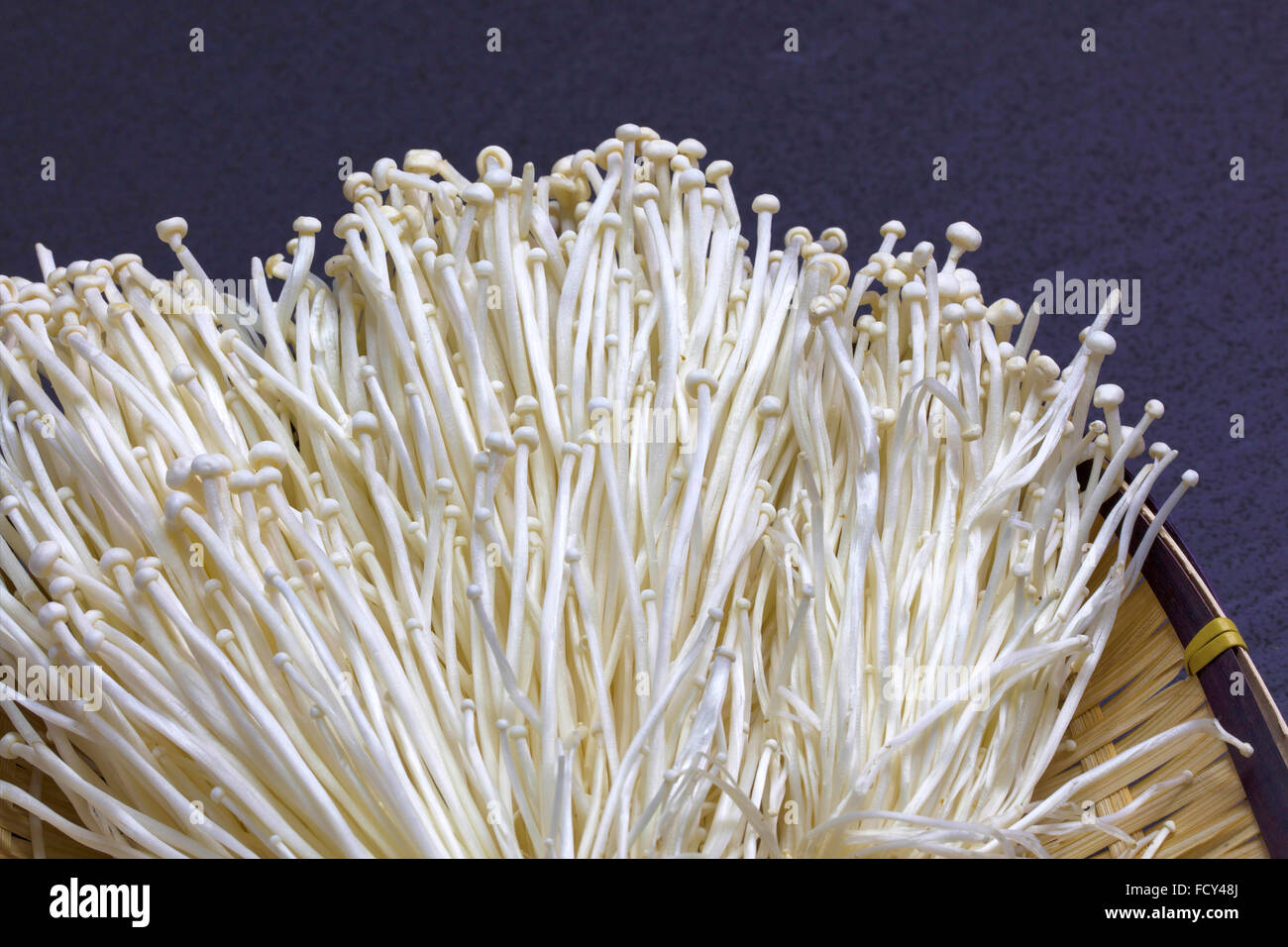 fresh of enoki mushrooms Stock Photo Alamy