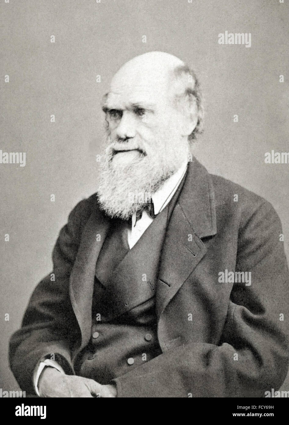 portrait of charles robert darwin 1809 1882 biologist Stock Photo