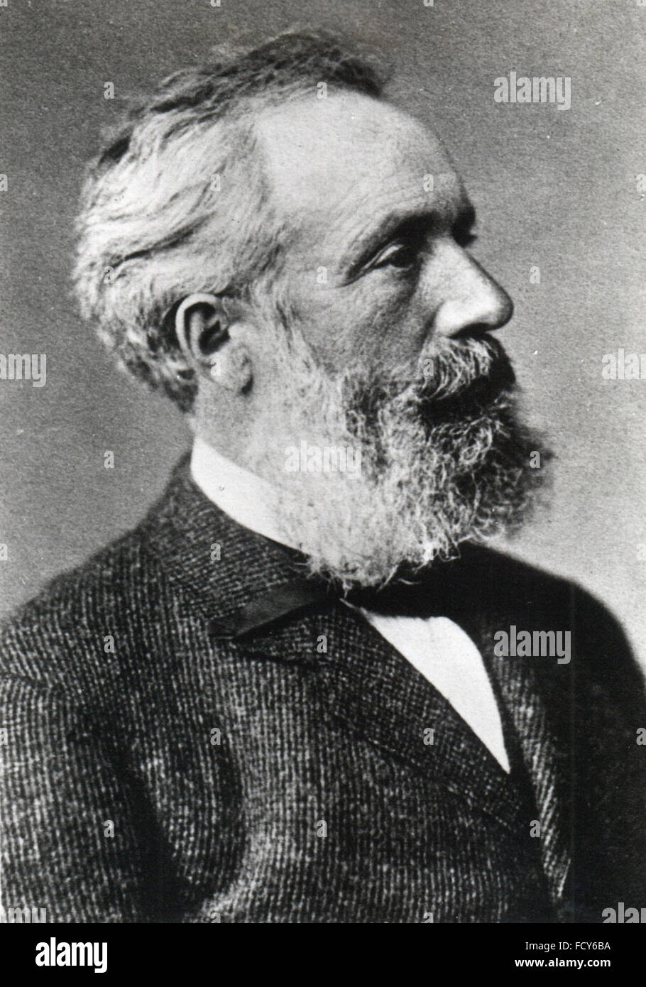 portrait of friedrich siemens 1826 1904 inventor and engineer Stock Photo