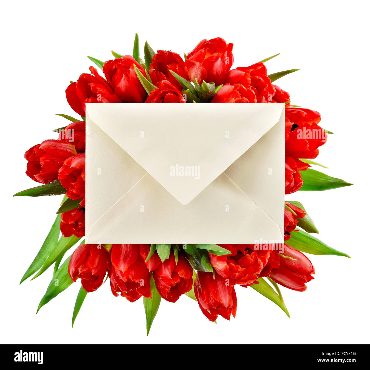 Spring congratulations hires stock photography and images Alamy