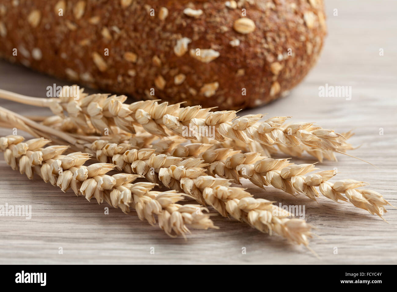 Wheat close up hi-res stock photography and images - Alamy