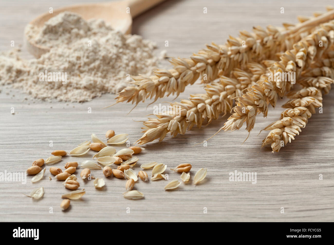Dried wheat, seeds and flour close up Stock Photo