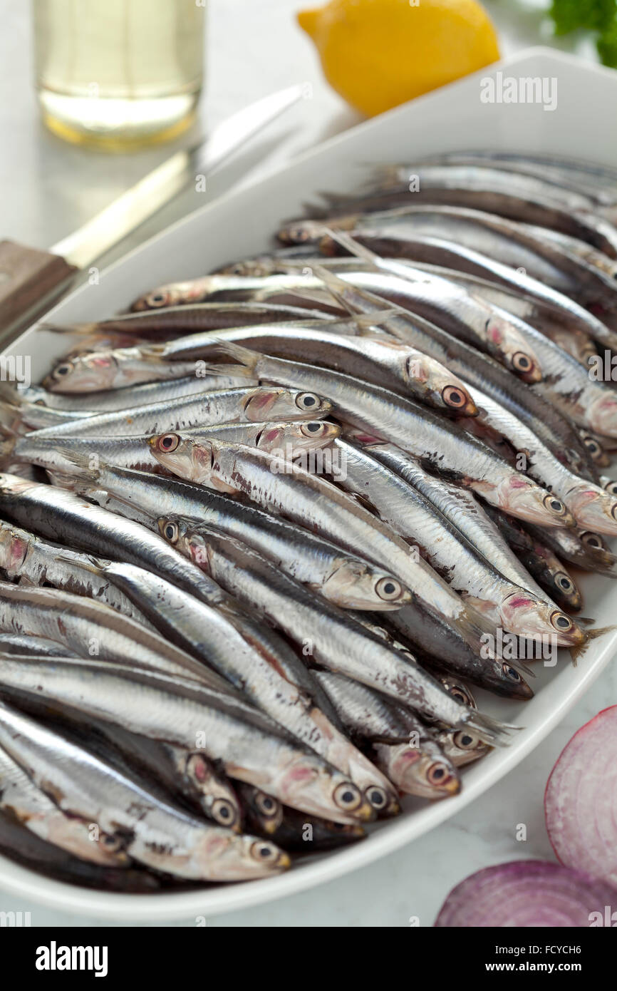 Fresh European anchovies on a dish ready to cook Stock Photo