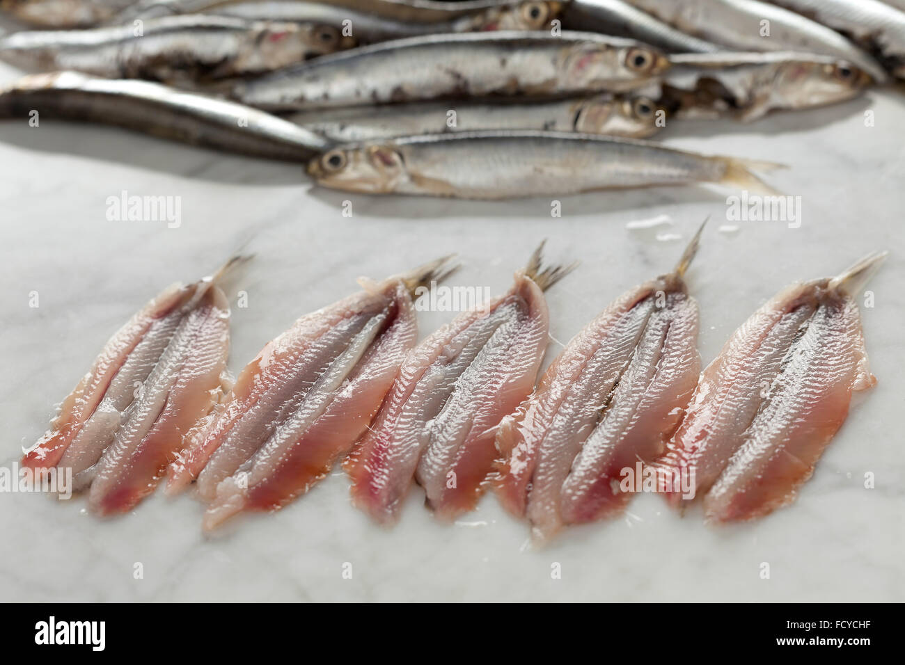 Fresh raw cleaned European anchovies Stock Photo