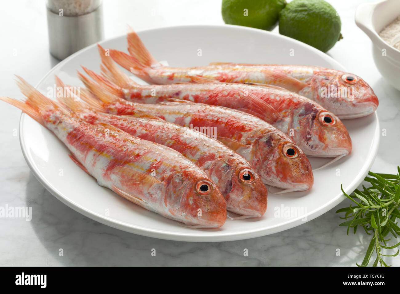 Fresh striped red mullets on a dish Stock Photo