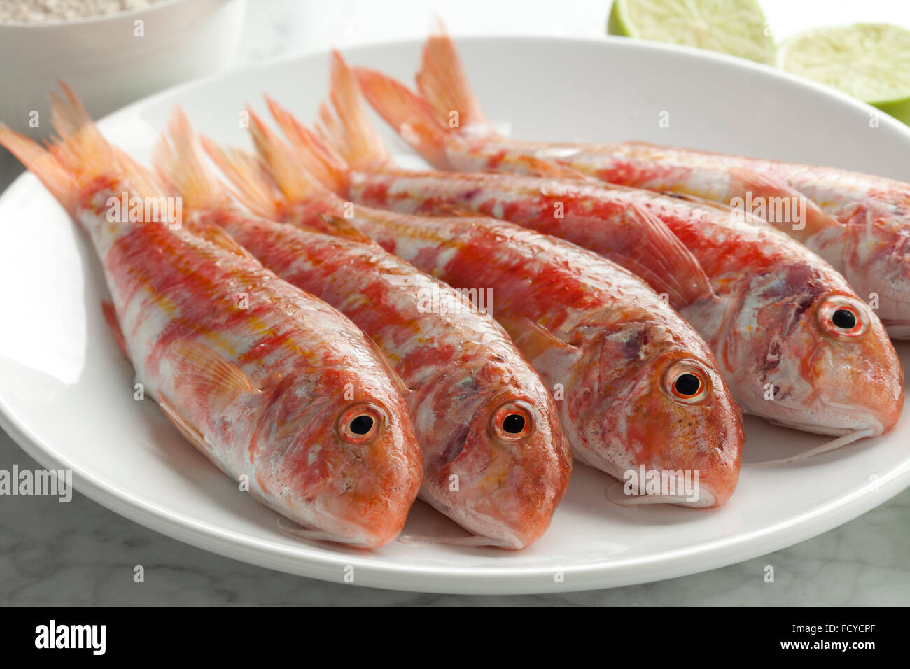 Striped mullet hires stock photography and images Alamy