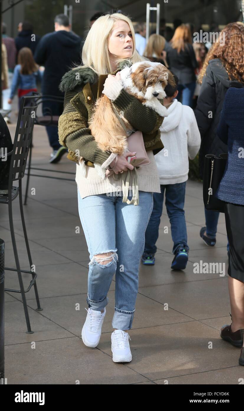 Alice Eve out shopping at The Grove with her dog Featuring: Alice Eve  Where: Los Angeles, California, United States When: 24 Dec 2015 Stock Photo  - Alamy