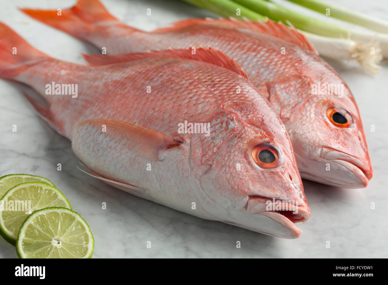 Fresh raw red snappers ready to cook Stock Photo