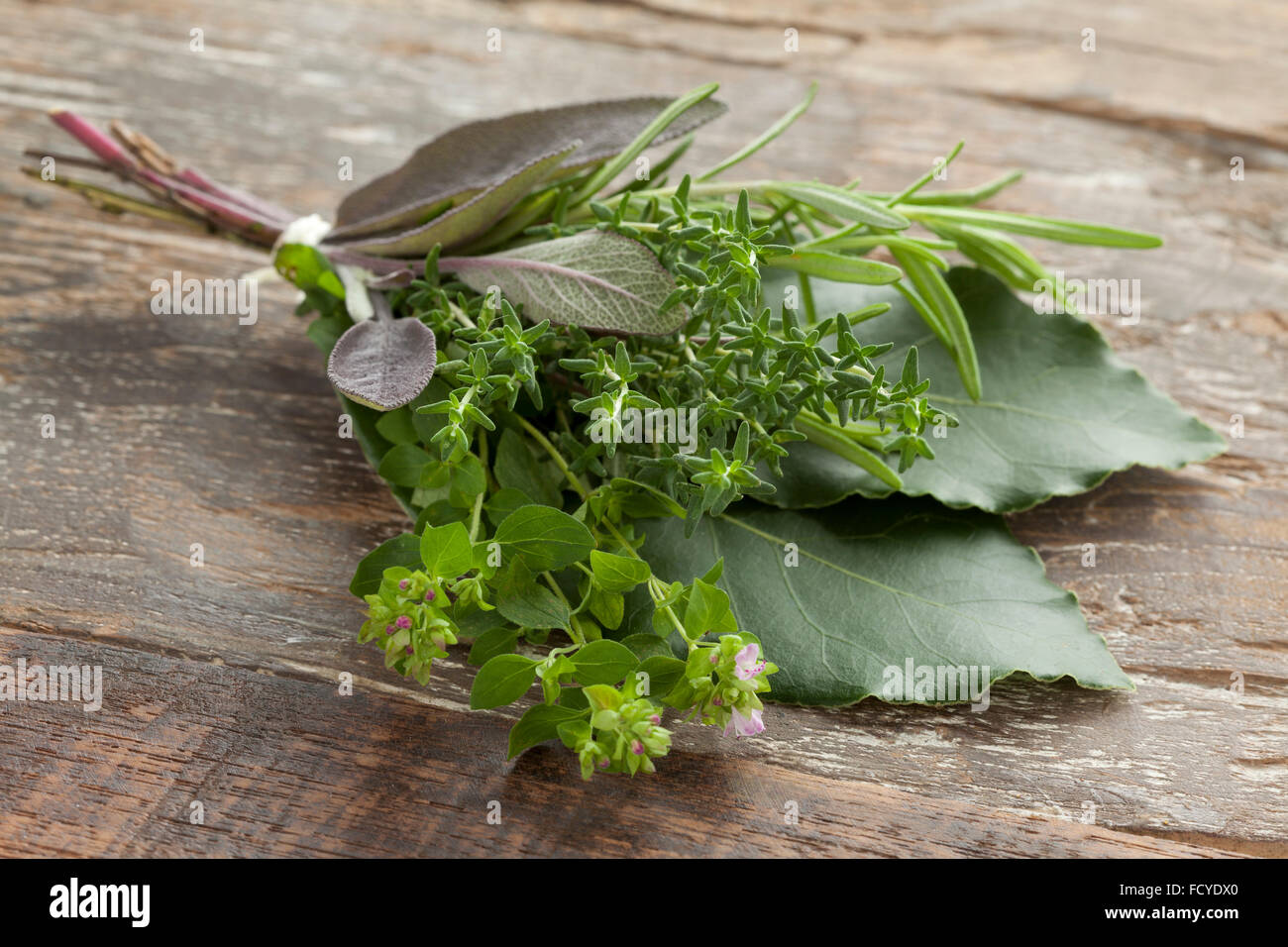 Fresh bouquet garni with different herbs Stock Photo