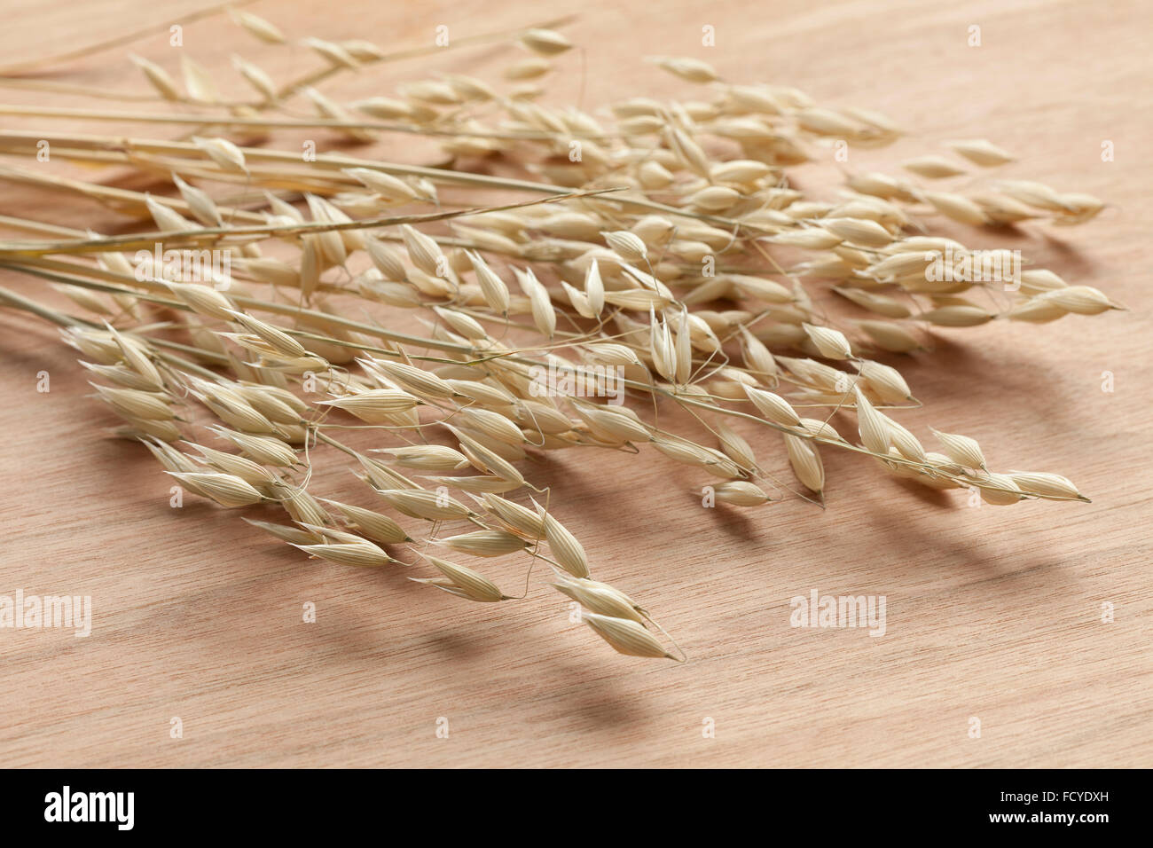 Dried oat seeds Stock Photo