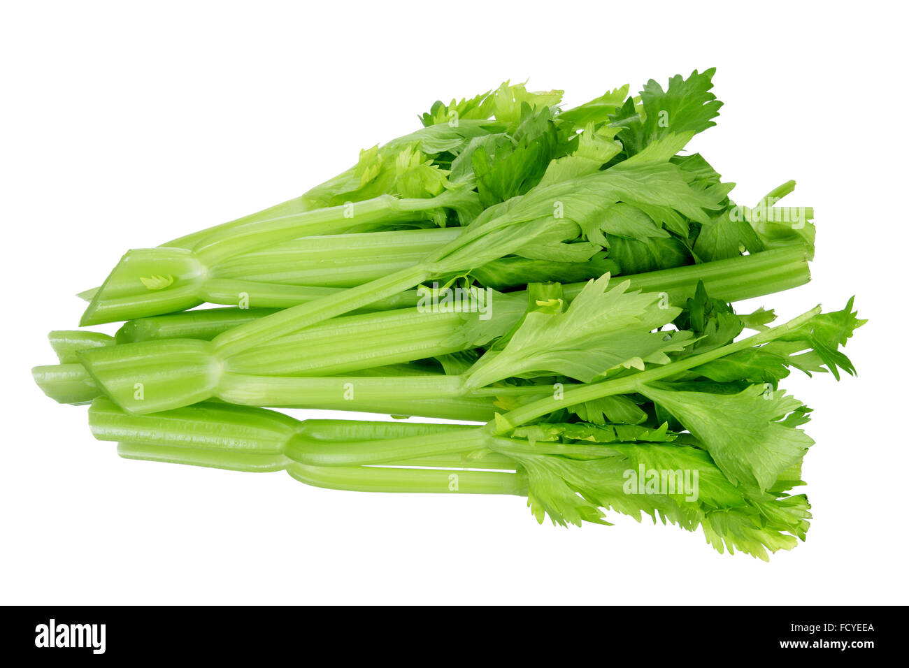 Bunch of Celery Stock Photo Alamy