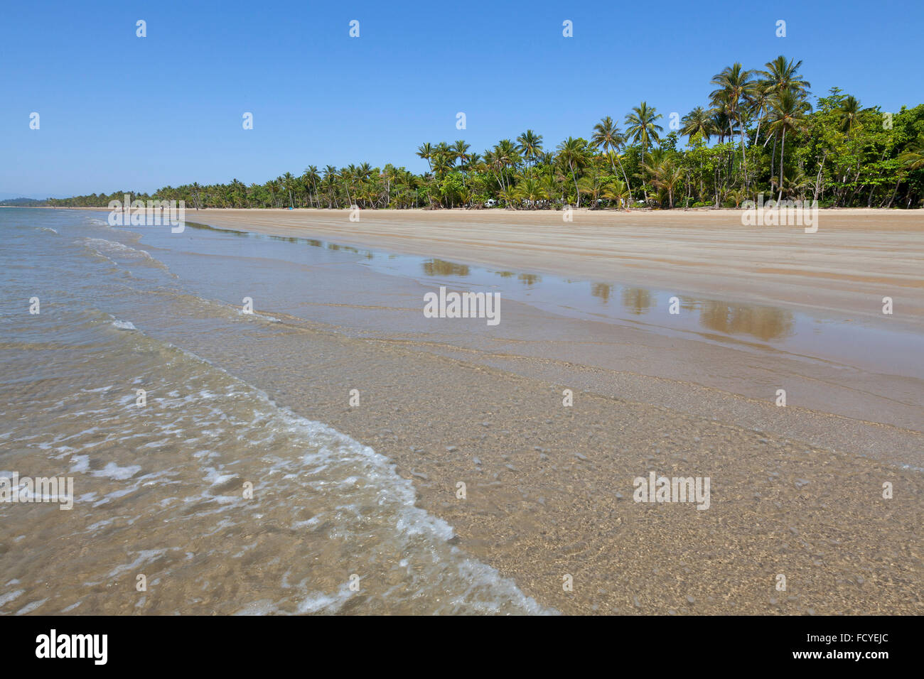 Beach with palm trees in Mission Beach,Queensland,Australia Stock Photo